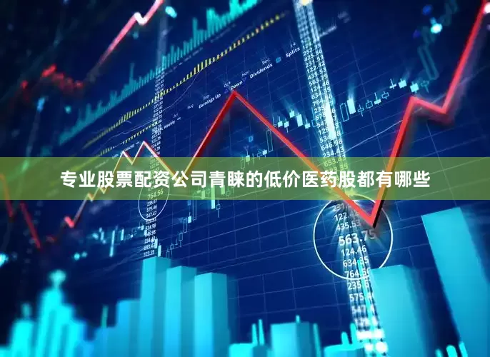 专业股票配资公司青睐的低价医药股都有哪些