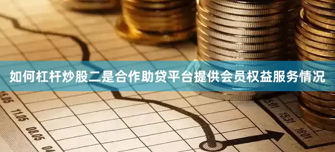 如何杠杆炒股二是合作助贷平台提供会员权益服务情况