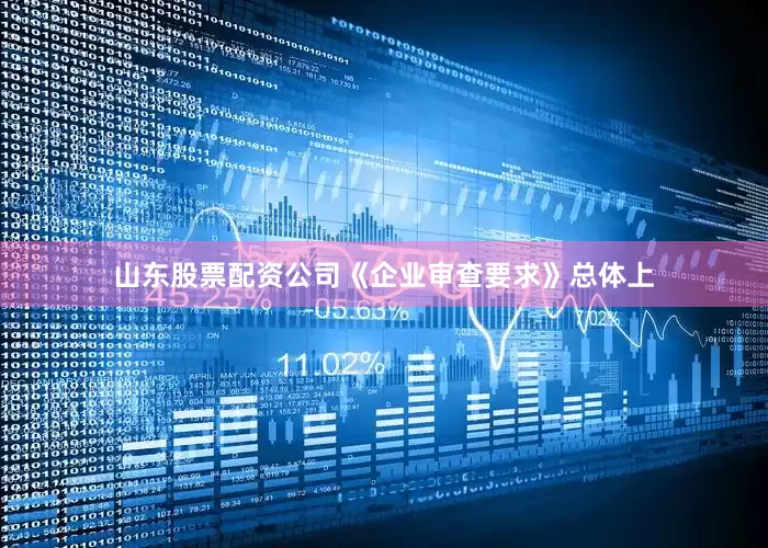 山东股票配资公司《企业审查要求》总体上
